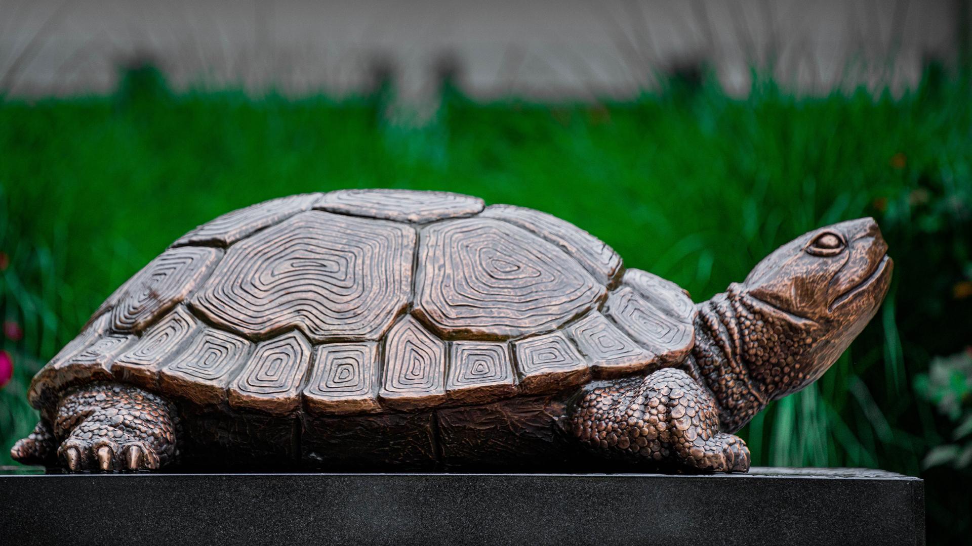 Testudo Sculpture